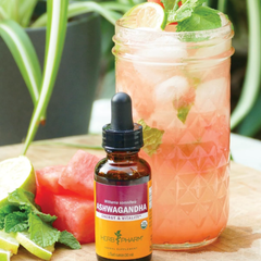 Image 4 for Echinacea, Alcohol-Free 30ml Organic