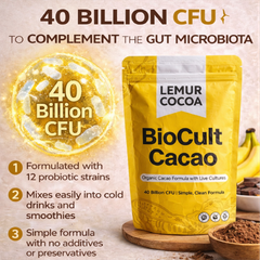 Image 4 for BioCult Cacao_Organic Cacao Powder with Live Cultures 300g
