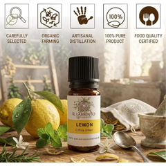 Image 3 for Officinale Lemon Essential Oil - Pure Italian Food Grade Lemon Essential Oil for Diffusers and Humidifiers for Aromatherapy, Refreshing Scent, Vegan and Pure Organic Formula - 10 ml