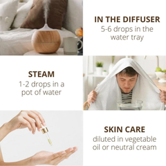 Image 3 for Officinale Thyme Essential Oil - Pure Food Grade Thyme Essential Oil for Diffusers and Humidifiers for Aromatherapy, Vegan and Pure Organic Formula - 10 ml
