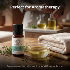 Image 4 for Officinale Thyme Essential Oil - Pure Food Grade Thyme Essential Oil for Diffusers and Humidifiers for Aromatherapy, Vegan and Pure Organic Formula - 10 ml