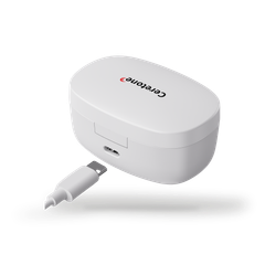 Image 4 for Torch ITC Hearing Aids