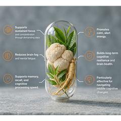 Image 4 for SIGNAL Brain & Focus Capsules