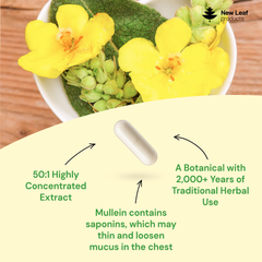 Image 2 for Mullien Leaf Capsules