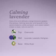Image 4 for Body Wash & Bubble Bath Calming Lavender 5L Refill