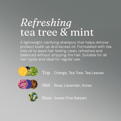 Image 4 for Clarifying Shampoo for Oily Hair Refreshing Tea Tree & Mint 5L Refill