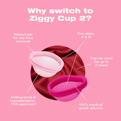 Image 3 for Ziggy Cup 2 Size B