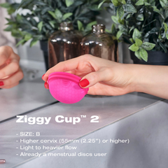 Image 4 for Ziggy Cup 2 Size B