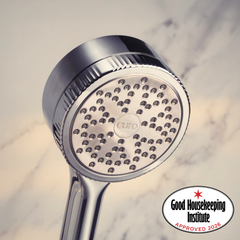 Image 1 for Filtered Shower Head Chrome