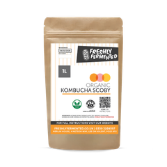 Image 1 for - Organic Kombucha SCOBY Starter + 100ml Starter Tea - Makes 1 Litre