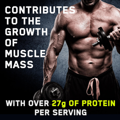 Image 4 for Critical Oats Advanced Protein Porridge - Whey Protein Powder Blend with Wholegrain Oats & ISO-XP Protein Isolate (600g - 10 Servings) (Chocolate)