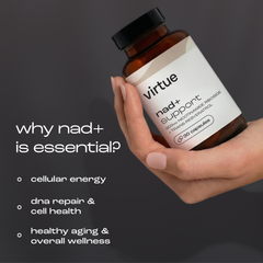 Image 4 for NAD+ Support