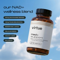 Image 5 for NAD+ Support