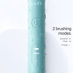 Image 4 for Sonic Lite Sage