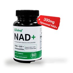 Image 1 for careleaf NAD+ Capsules 60 Capsules