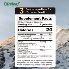 Image 2 for careleaf Sugar-Free Shilajit Gummies Berry Flavor 60 Gummies