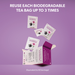 Image 5 for Elderberry & Echinacea Herbal Tea - 20 Tea Bags