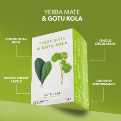 Image 2 for Yerba Mate & Gotu Kola Herbal Tea - 20 Tea Bags