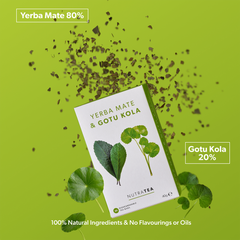 Image 4 for Yerba Mate & Gotu Kola Herbal Tea - 20 Tea Bags