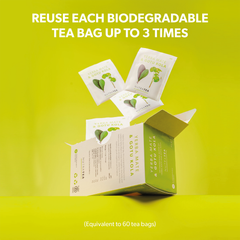 Image 5 for Yerba Mate & Gotu Kola Herbal Tea - 20 Tea Bags