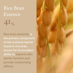 Image 2 for I'm From Rice Cream 15ml
