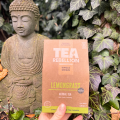 Image 2 for Organic Certified Lemongrass in  Tea Bags from the Himalayas 12  Tea Pyramid Bags