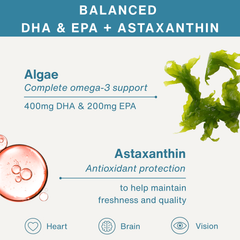 Image 3 for Concentrated Vegan Omega-3 Algae Oil, 400mg DHA, 200mg EPA & Astaxanthin, 60 Softgels