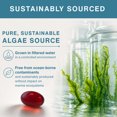 Image 5 for Concentrated Vegan Omega-3 Algae Oil, 400mg DHA, 200mg EPA & Astaxanthin, 60 Softgels