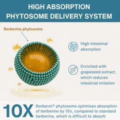 Image 4 for Igennus Berberine Phytosome 60 capsules