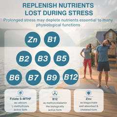 Image 3 for Igennus Ashwagandha Complex 60 capsules