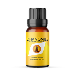 Image 1 for Chamomile Dilute Essential Oil - 10ml