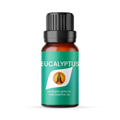 Image 1 for Eucalyptus Pure Essential Oil - 10ml