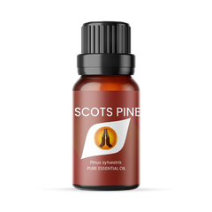Image 1 for Scots Pine Pure Essential Oil - 10ml