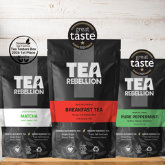 Image 5 for Easy Brewing Everyday Green Tea Without Bitterrness 12 Biodegradable Pyramid Bags