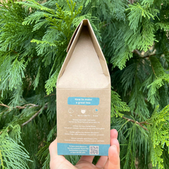 Image 3 for Pure Peppermint 12 Biodegradable Pyramid Bags