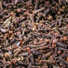 Image 4 for Clove Essential Oil 10ml – Organic