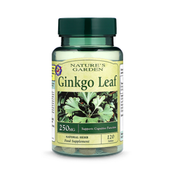 Good n Natural Ginkgo Leaf 120 Tablets 250mg