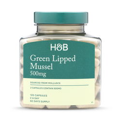 Holland & Barrett Green Lipped Mussel 500mg 120 Capsules