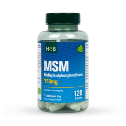 Holland & Barrett MSM 750mg 120 Tablets