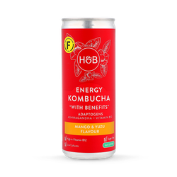 Holland & Barrett Energy Kombucha 250ml