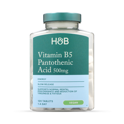 Holland & Barrett Slow Release Vitamin B5 + Panthothenic Acid 500mg 120 Tablets