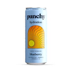 Punchy Blueberry Electrolyte Sparkling Vitamin Drink 330ml