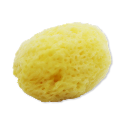 SpongeBox Triple Treat Face & Cosmetic Gentle Natural Sea Sponge 3 Pack 2.5-3 Inches