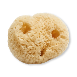 6-Pack Natural Sea Sponge Puffs - Yellow