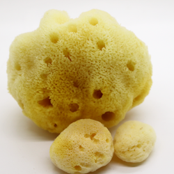 SpongeBox PureSilk Baby Bath Buddy Gentle Natural Sea Sponge 4-4.5 Inches