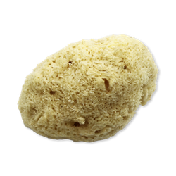 SpongeBox Natures Touch Sheep Wool Gentle Body & Bath Natural Sea Sponge 5-5.5 Inches