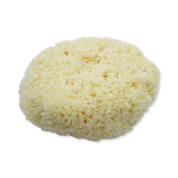 SpongeBox Natures Touch Sheep Wool Gentle Body & Bath Natural Sea Sponge 6-6.5 Inches