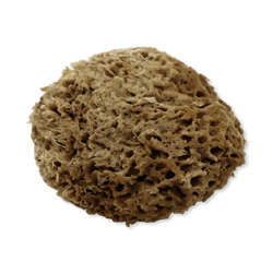 SpongeBox Soft Serenity Sheep Wool Gentle Body & Bath Natural Sea Sponge 5-5.5 Inches