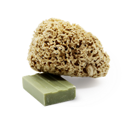 SpongeBox Honeycomb Luxe Body & Bath Natural Sea Sponge 5-5.5 Inches