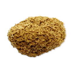 SpongeBox Honeycomb Luxe Body & Bath Natural Sea Sponge 6-6.5 Inches